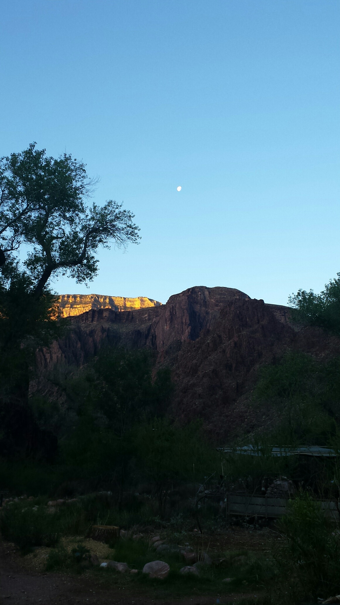 20180504_054922_resized_1