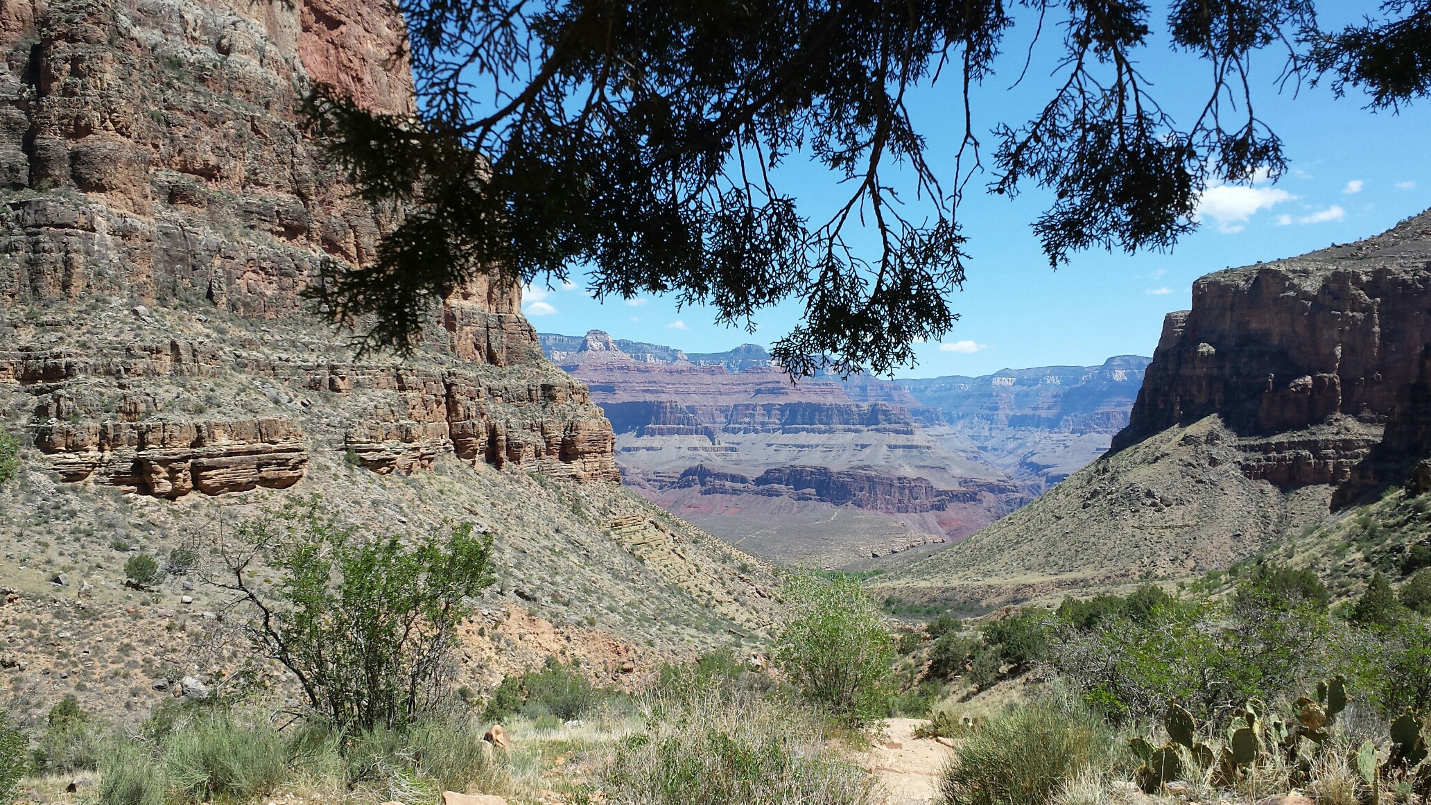 20180504_110225_resized